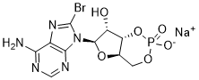 8-Br-cAMP potassium